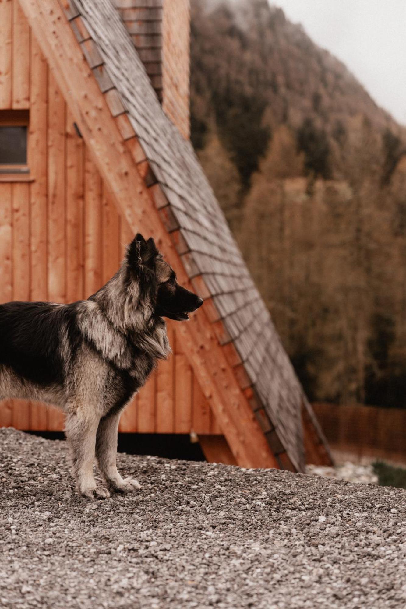 Collis Hill Chalets & Hotel Kals am Grossglockner Exterior photo